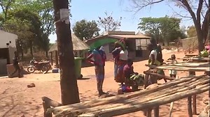 The Forestry Department, in Lufwanyama on the Copperbelt, says it is overwhelmed by the number of applications for charcoal production and transportation permits. Lufwanyama District Forestry Officer, SUSAN JERE says they are clearing at least 2,000 bags of charcoal per month. | ZNBC Today
