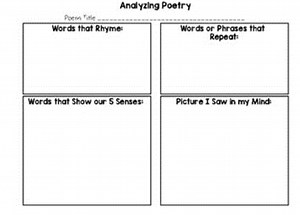 Graphic Organizer