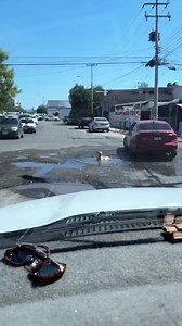 *SEXTOU NO MAIOR BAIRRO DE CURITIBA* HOJE É DIA DE PISCINA E CHURRASCO É SÓ DEIXA A LOCALIZAÇÃO QUE EU COLO AI 😂 | Cicalerta24hr plantão Polícial Curitiba e RMC