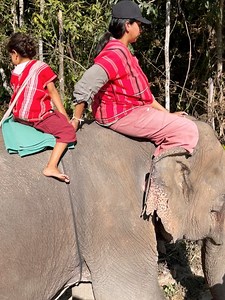 Mechmoto on Reels | Facebook