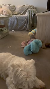 Eating Breakfast | The Piper Chronicles