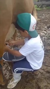 Le petit bèrger ♥️ | Nature news