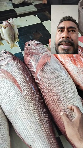 Ikan ini masak apa lebih enak gays #fyp #fbpro #reels | Ferdinand A Sigmarlatu