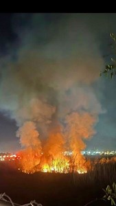 On January 8, 2025, at 6:45 PM, Orange City Fire, along with @anaheimfireandrescue, responded to a report of a vegetation fire located at West Taft Avenue near the Santa Ana River Bed. A total of 15 units from both fire departments were deployed to the scene. Thanks to the available resources, the fire was contained to an area of six acres, preventing any additional spread or damage. | Orange City Fire