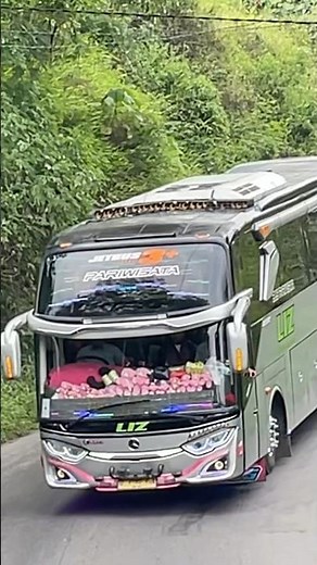 Liz wisata sheboy #basuri #basuribussid #busmania #mobilbasuri