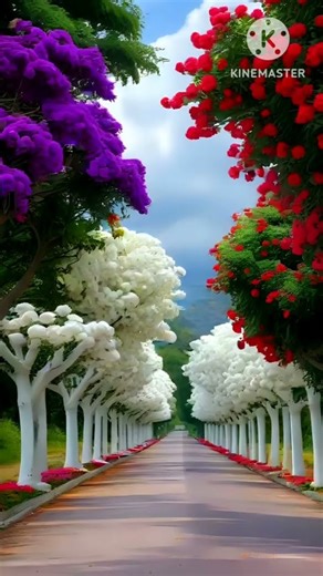 #Beautiful senery#viral Short video 👍👍👍