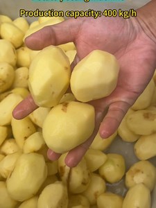 Potato peeler machine demo — ポテトフライASMR付き