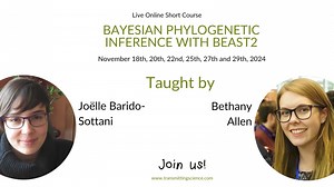 🔍 Want to master the art of reconstructing phylogenies with Bayesian methods? Gain hands-on experience with complex tree models and learn to integrate prior knowledge effectively with BEAST2! 🌳 Join us for our Live Online Course: Bayesian Phylogenetic Inference with BEAST2! 📅 Dates: November 18th, 20th, 22nd, 25th, 27th, and 29th, 2024 🕐 Duration: 35 hours (21 hours of online live lessons 14 hours of independent tutored exercises) 👩‍🏫 Instructors: Joëlle Barido-Sottani and Bethany Allen 🔗