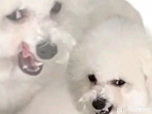 PSO2 Fi/Et 双头 11:57 Depth100 最終決戦：時空の狭間/Final Battle Space Time Interstice