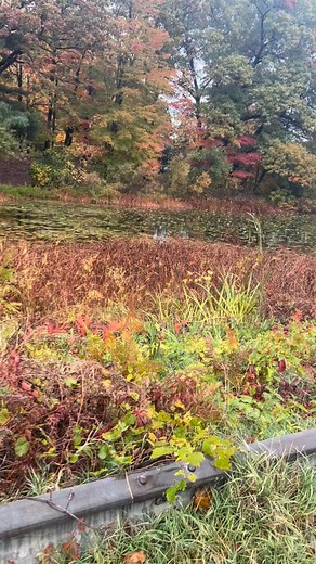 Who dis? #Publicfigure #nerd #positivity #vibes #loveyourself #goodvibes #puremichigan #michigan #accountability #consistency #fall | Patrick Weaver