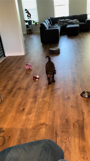 user2801957097189 on TikTok