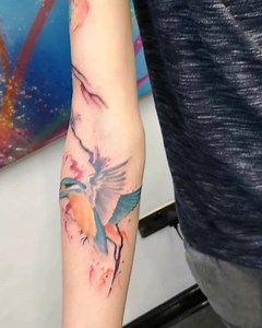 22 reactions · 4 comments | fun little colour piece done by @joemeakin.tattoo #kingfisher #kingfishertattoo #derbytattoo #studioonederby #ink #inked #derby #tattoo #derbytattoostudio #birdtattoo #sleeve #art #tattooart #colour #colourtattoos #inksplash | Studio One Tattoo | Facebook