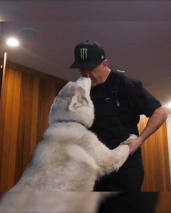 28K views · 411 reactions | Ken Block on Reels | Facebook