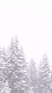 3.1K views · 83 reactions | Take a break, warm up, and relax at the Timberline Taproom! Enjoy great brews and bites between laps. This is a great place to bring your friends when they visit Ski Cooper! | Ski Cooper / Chicago Ridge | Facebook