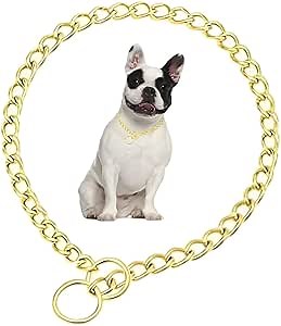 Gold Dog Chain Collars,Metal Slip Link Martingale Dog Collar Training Heavy Duty Male Boys Dog Chain Female Girls Puppy Collars for XXS XS Small Medium Large Big Breed,M