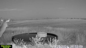 4K views · 40 reactions | Caption this! ⬇️ #bobcat #deer #hunting #tactacam #reveal #buckstormsd #hunting #huntingseason #trailcam #tactacamreveal #predator #watertank | Buckstorm | Facebook