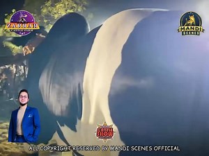 1.1K views · 45 reactions |  *FalshBack*  A Legendary Tribute to 磊...