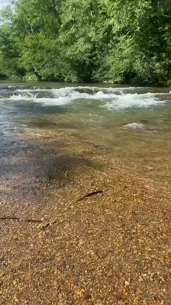 redneck tubing and beer along the way!! #alabama #fyp #tubing #adventure