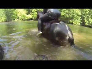 Girl falls off horse in River!! & My Gypsy Horse Maxx TOO CUTE!!