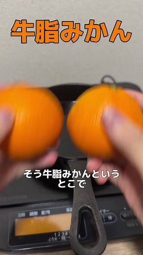 牛脂を使ったみかんの作り方