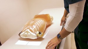 Join Rafael Pena, a radiologic technology student at Keiser University's Miami campus, as he shares his inspiring journey of career reinvention. At 34, Rafael transitioned from a district manager role to pursue his passion in the medical field. Discover why he chose Keiser for its fast-track education and robust support system. Learn about his experiences working with patients, the camaraderie of his peers, and the exceptional care mission he embraces. #keiseru | #onekeiser | Keiser University