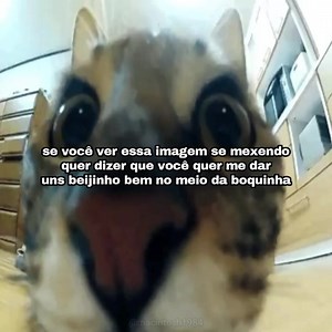 😳 | Macintosh 1984