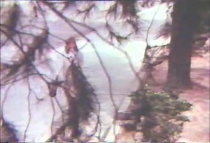 Mothers Wishes - Vintage 1960's