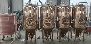 [Hot Item] 1500L 2000L 15bbl 20bbl Conical Fermentation Tank with Rose Golden