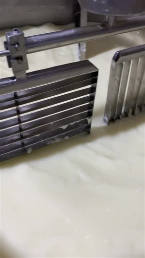 🧀 Precision, Patience, and Purity — The Making of Mature Cheese At Farmers Cheese Making, our mature cheeses are the result of a time-honored process that reflects true artisanal excellence. Crafted with 100% pure milk and aged under carefully controlled conditions, each wheel develops a rich, complex flavor profile and firm texture that only time can achieve. This is not just cheese — it’s a reflection of our legacy, our standards, and our unwavering commitment to authenticity. 🌐 Explore the 