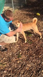 3.6K views · 220 reactions | Adoption pending  Good morning, my name...