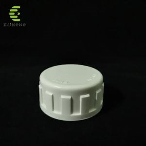 [Hot Item] China Wholesale End Caps for PVC Pipe Plastic Tube Fitting