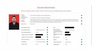 Cara Resume Pendaftaran CPNS PPPK 2023, Terakhir Hari Ini Pukul 23.59 WIB - Tribunnews.com
