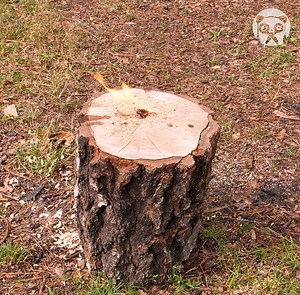 87K views · 545 reactions | Survival Hacks For When You're Out Camping | Bored Panda Art | Facebook