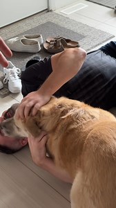 Not only are we marketing geniuses, but we’re also top-notch actors—just ask our behind-the-scenes shots!  Check out these hilarious snaps from our latest HVAC commercial shoot. Between the laughs and puppy cuddles, we’re excited for you to see the final cut. Stay tuned!  | SOS Media Corp | Facebook