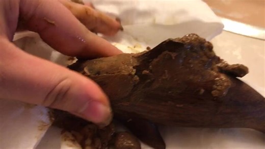 Girl loves her thick poop dolphin