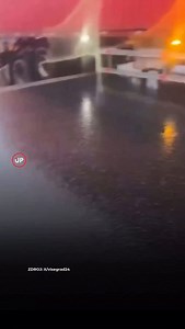 35 reactions · 6 comments | O chlp od tragédie: Po zrútení mosta...