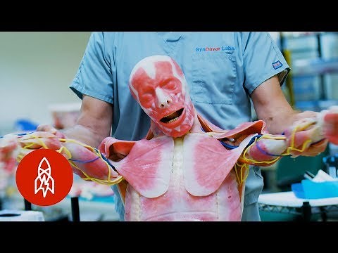 'Westworld' IRL: Creating Lifelike Synthetic Human Cadavers