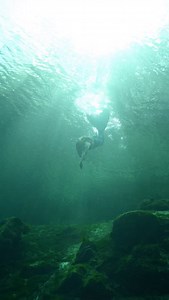 3.5K views · 2.8K reactions | Vero Beach Mermaid on Reels | Facebook