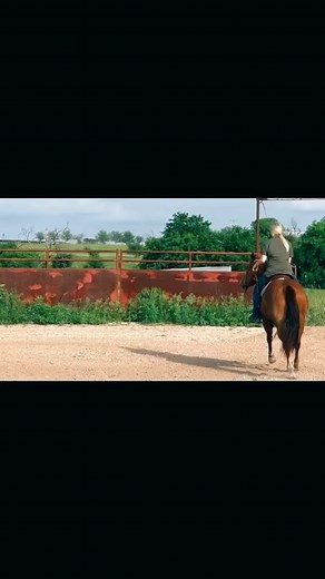 We got a full scorpion folks. I repeat, full scorpion. (Via @zoie.kyler) | Slap Dicks Cattle Co.