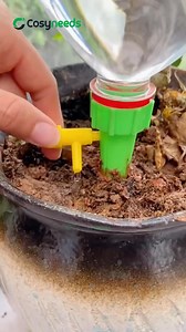 1.2M views · 6.1K reactions |  "গাছ বাঁচুক, ভালোবাসা থাকুক — আপনি...