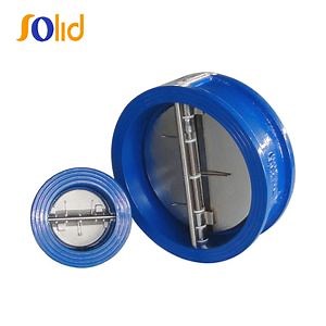[Hot Item] Cast Iron Double Plate Check Valve Wafer Type Manufacturer