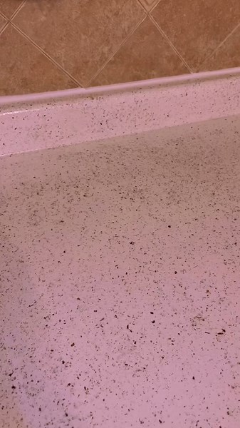 Happy to share step by step videos! Painting our countertops with #daich #paintedcountertops #kitchenrenovation #homerenovation #upgrade #fyp #diy #over30