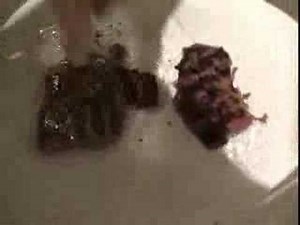 Cake Flushing With Nick Frost (No.2)