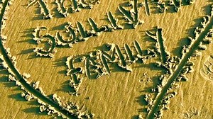 22 reactions | Our Favourite place to spend an afternoon in #Moray is #Roseisle beach....totally recommended, Beautiful  Music creds - FMA positive and fun (Scott Holmes). | The Sullivans | Facebook