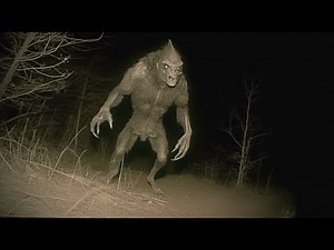 DISTURBING BEASTS CAPTURED ON TRAIL CAM COMPILATION