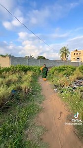 8.1K views · 107 reactions | #fblifestyle Another extraordinary Togo - Indian movie you can’t resist from Norah, Jojo and Tovia  #gegs #togo #ewegoesglobal #volta | Ghana Ewe Gospel Songs | Facebook