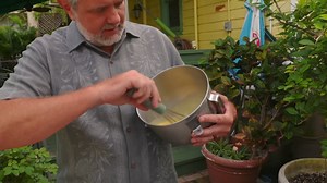 1.1K views · 14 reactions | What do you think of Kermit's hot take on the origin of key lime pie? Join Chad as he gets a slice of history (and pie!) on Spirit of the Florida Keys, only on the Discover Florida channel! ✨ #KeyLimePie #SpiritOfTheFloridaKeys #DiscoverFloridaChannel | Discover Florida Channel | Facebook