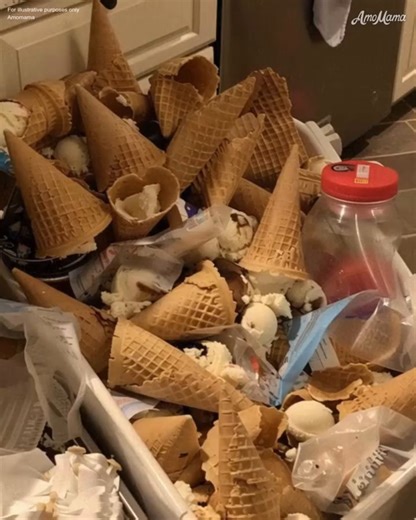 MY ENTITLED SIL DUMPED ALL MY ICE CREAM CONES IN THE TRASH BECAUSE SHE DIDN'T WANT HER DAUGHTER TO SEE ME EATING THEM When my SIL asked to stay for "just two weeks" while her kitchen was being renovated, I said yes. She's my husband's sister, and she and her seven-year-old daughter needed help. Of course I'd open our home. But five weeks later, they were still here. And somewhere along the way, I'd become the full-time cook, cleaner, babysitter—on top of my full-time job and managing all the bil