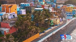 1.6K views · 66 reactions |  NPRDP VIDEO WEEK continues!  All this...