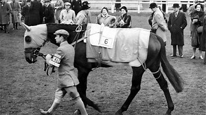 ‘I’ve watched it 1000 times’ – Dick Francis’s son on Devon Loch’s Grand National collapse